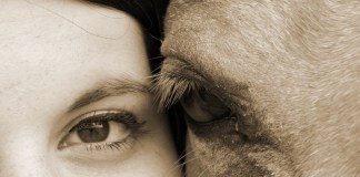 Speaking with Other Animals for Justice: Dr. MJ Barrett’s Insights on Interspecies Communication